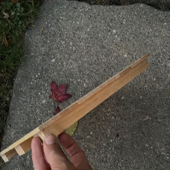 LOVE IS….. - Picture 3 of 4